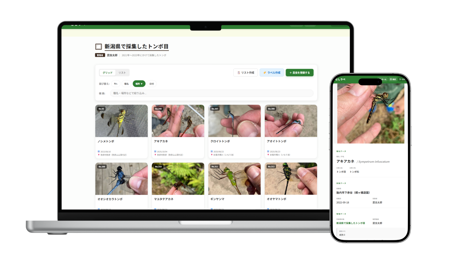 デジタル標本箱・図鑑のプレビュー