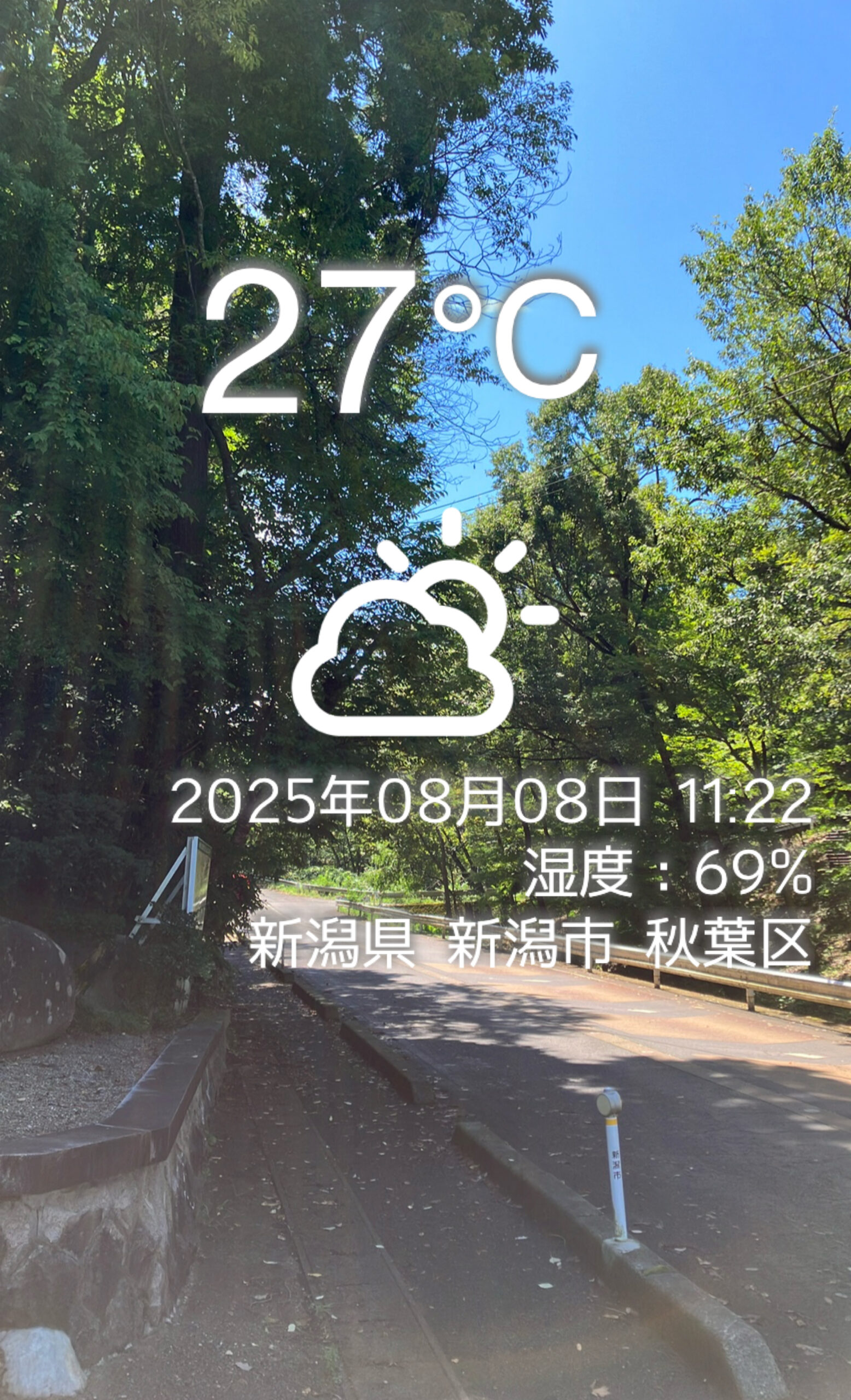 秋葉公園 夏の山で昆虫採集 | ぼくのむしとり日記